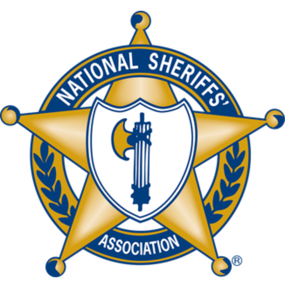 NSA Logo